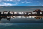 明星在傍晚时刻遭遇tangxin曝光，糖心vlog全网炸锅，详情深扒