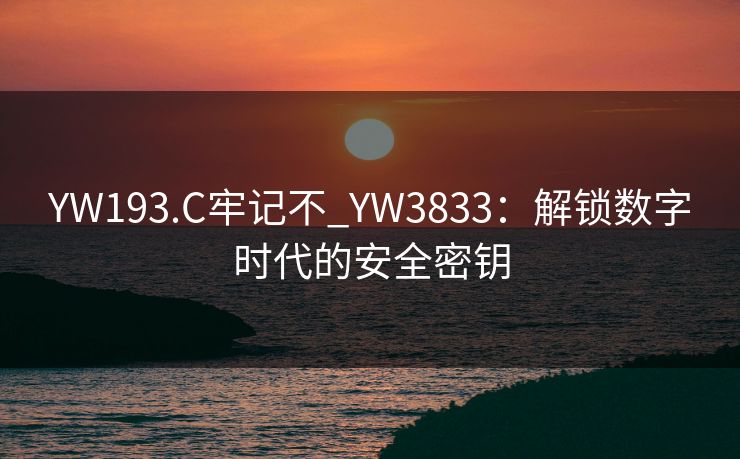 YW193.C牢记不_YW3833：解锁数字时代的安全密钥