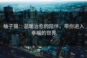 柚子猫：温暖治愈的陪伴，带你进入幸福的世界