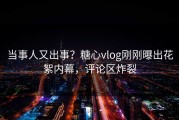当事人又出事？糖心vlog刚刚曝出花絮内幕，评论区炸裂