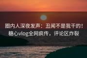 圈内人深夜发声：丑闻不是我干的！糖心vlog全网疯传，评论区炸裂