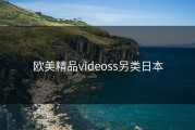欧美精品videoss另类日本