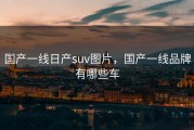 国产一线日产suv图片，国产一线品牌有哪些车