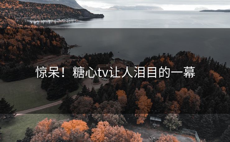 惊呆！糖心tv让人泪目的一幕