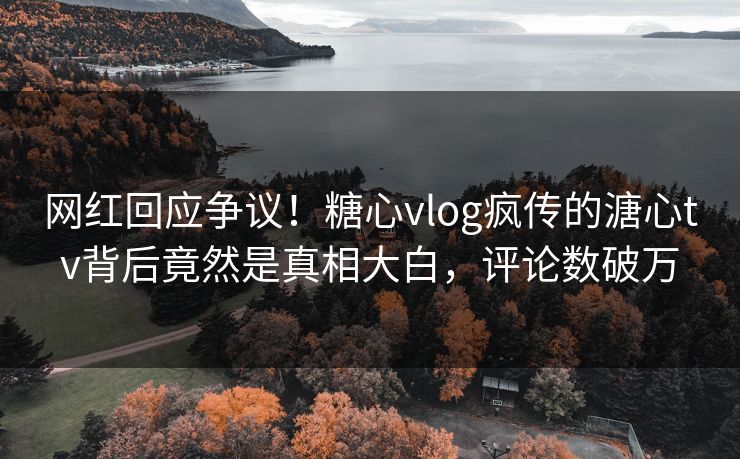 网红回应争议！糖心vlog疯传的溏心tv背后竟然是真相大白，评论数破万