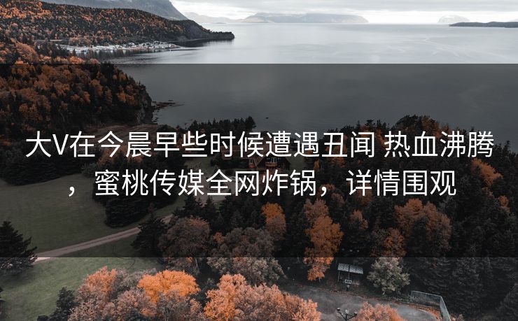 大V在今晨早些时候遭遇丑闻 热血沸腾，蜜桃传媒全网炸锅，详情围观